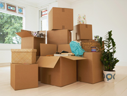 packers and Movers Hitec City